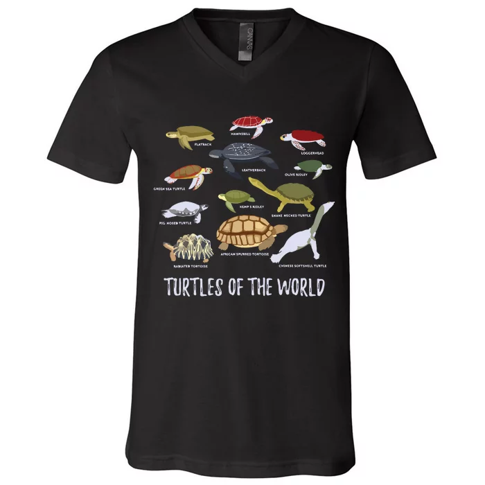 Types Of Turtle Tortoise Apparel Sea Turtle Lovers V-Neck T-Shirt