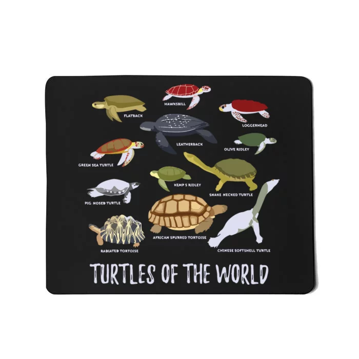 Types Of Turtle Tortoise Apparel Sea Turtle Lovers Mousepad