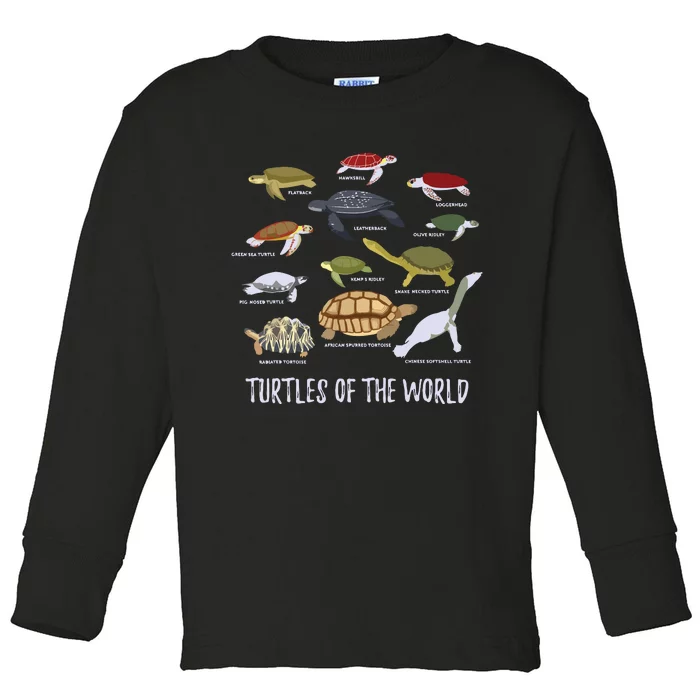 Types Of Turtle Tortoise Apparel Sea Turtle Lovers Toddler Long Sleeve Shirt