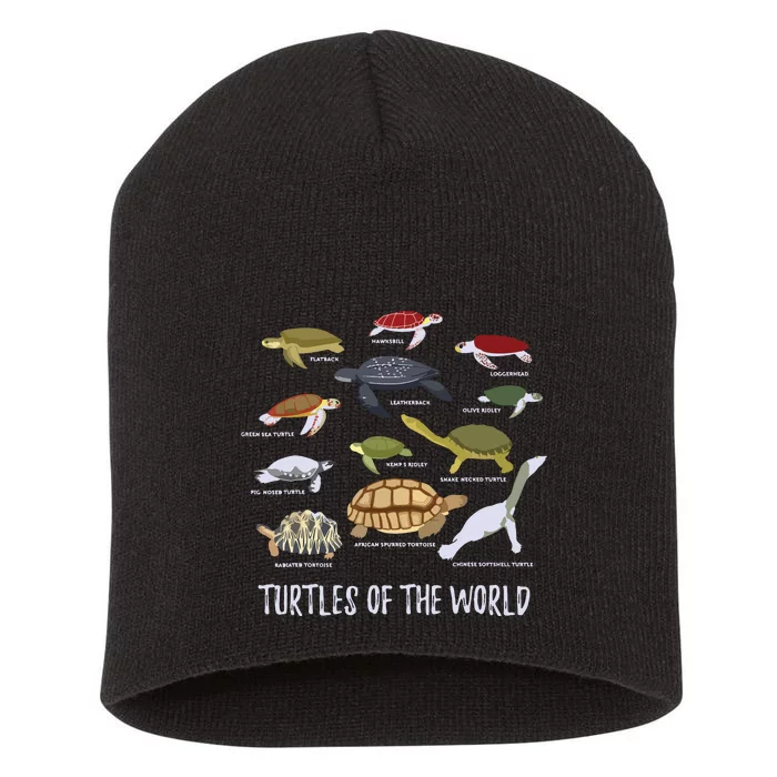 Types Of Turtle Tortoise Apparel Sea Turtle Lovers Short Acrylic Beanie