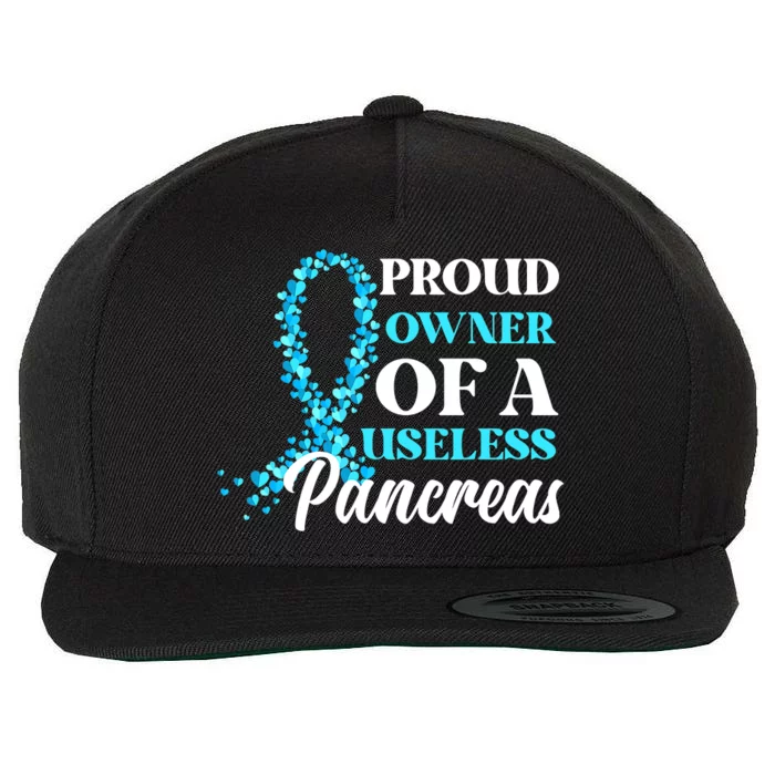 T1D Owner Type 1 Diabetes Awareness Gift Wool Snapback Cap