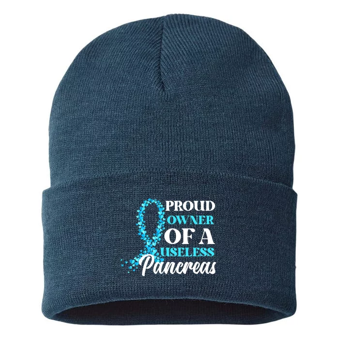 T1D Owner Type 1 Diabetes Awareness Gift Sustainable Knit Beanie