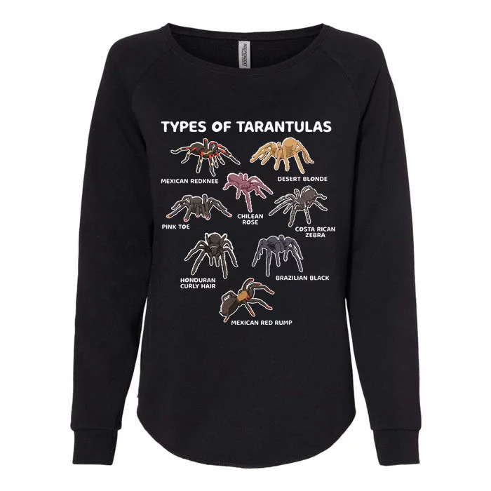 Types Of Tarantulas Toe Chilean Mexican Hairy Spider Womens California Wash Sweatshirt