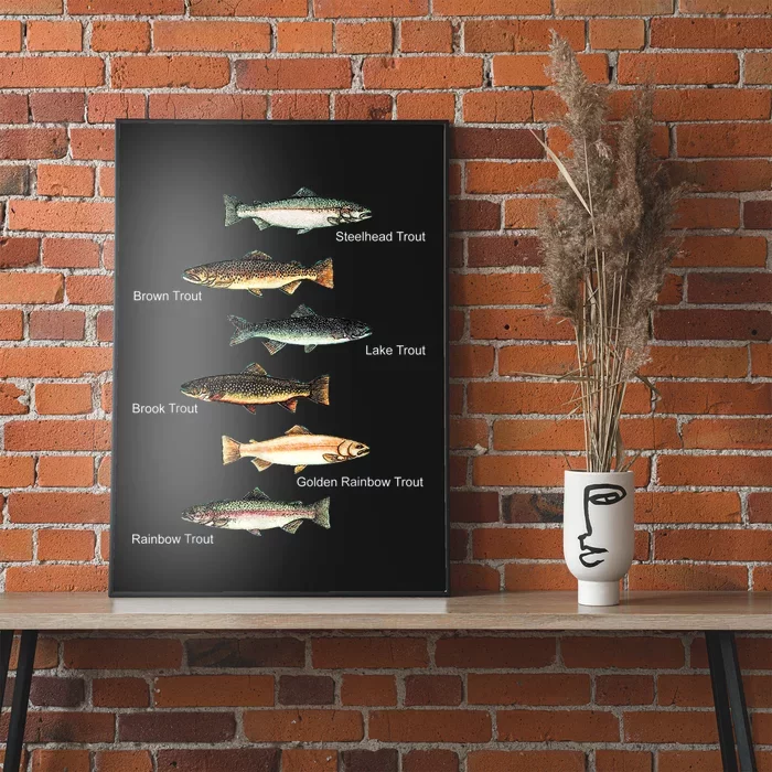 Types Of Trout Fish Species Collection Fishing Poster