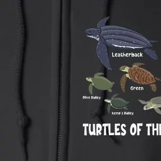 Turtles Of The World Celebrate Diversity Tortoise Sea Turtle Full Zip Hoodie