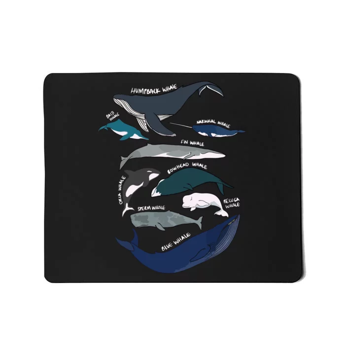 Types Of Whales Cute Ocean Mammals Guide Mousepad