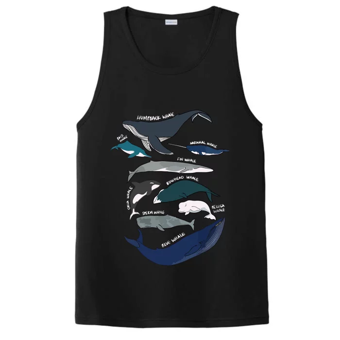 Types Of Whales Cute Ocean Mammals Guide Performance Tank