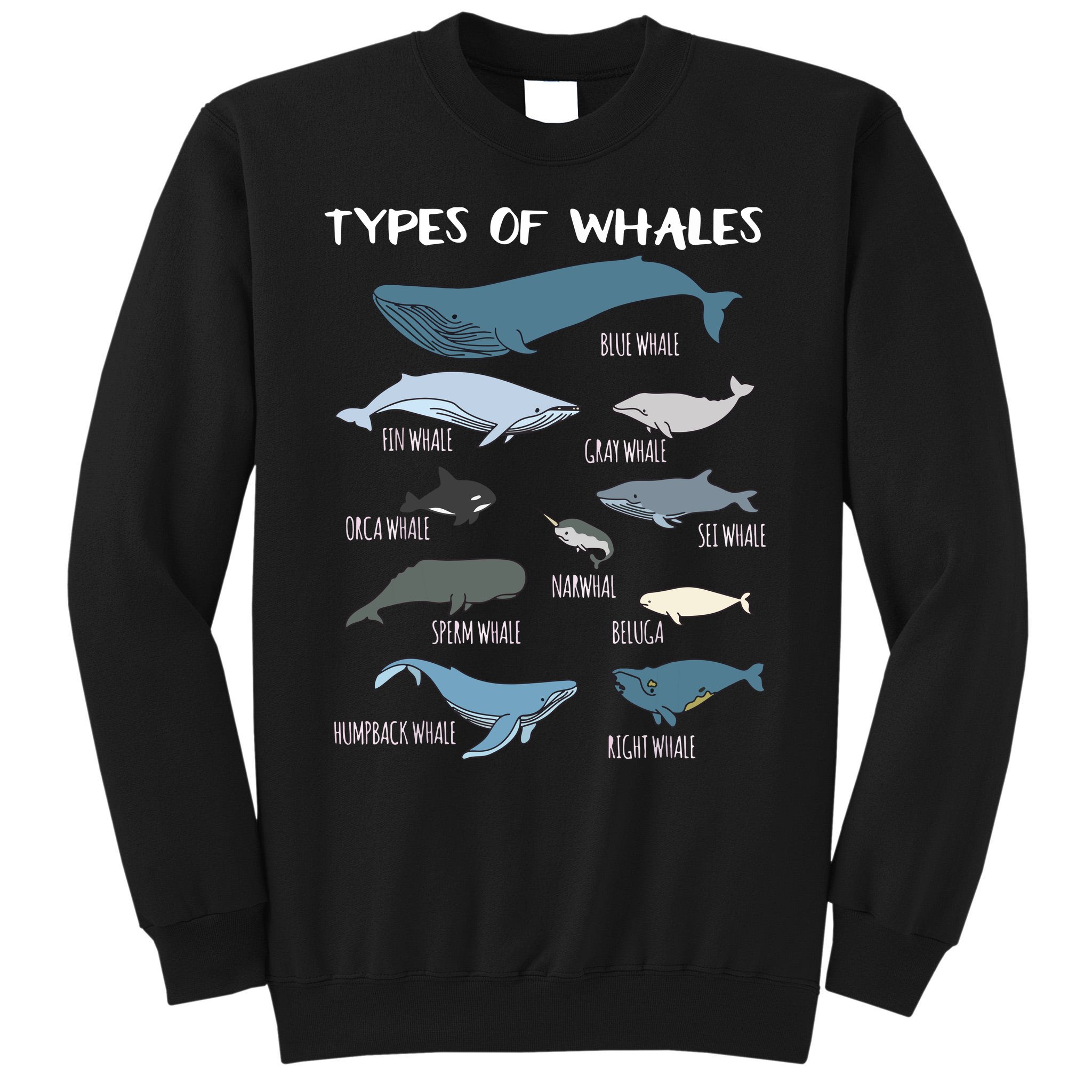 Types Of Whales Cute Ocean Mammals Guide Sweatshirt