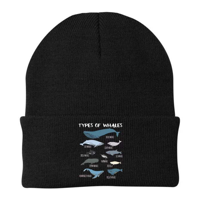 Types Of Whales Cute Ocean Mammals Guide Knit Cap Winter Beanie