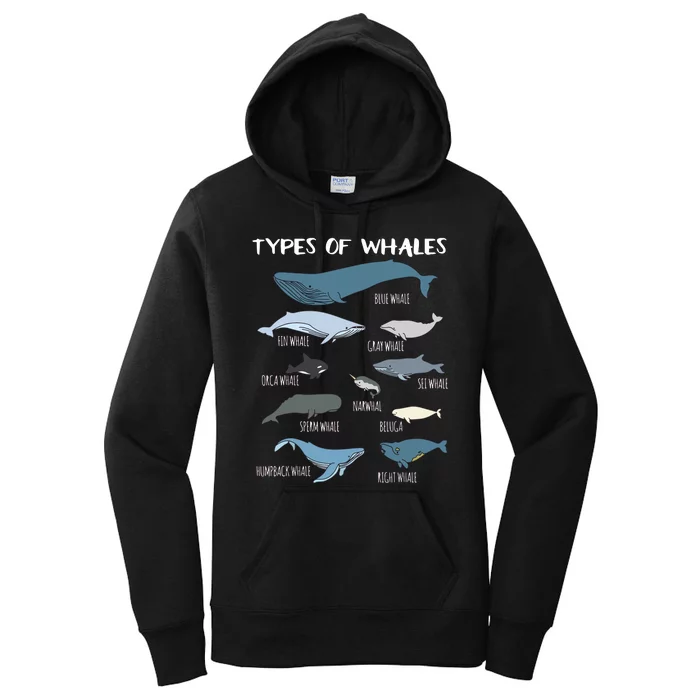 Types Of Whales Cute Ocean Mammals Guide Women's Pullover Hoodie