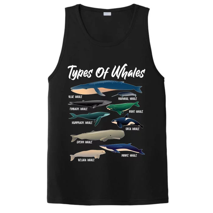 Types Of Whales Performance Tank