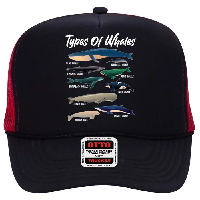 Types Of Whales High Crown Mesh Trucker Hat