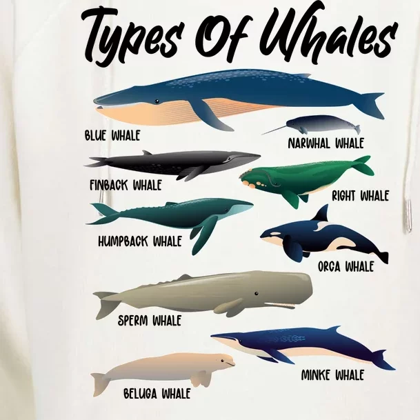 Types Of Whales Womens Funnel Neck Pullover Hood