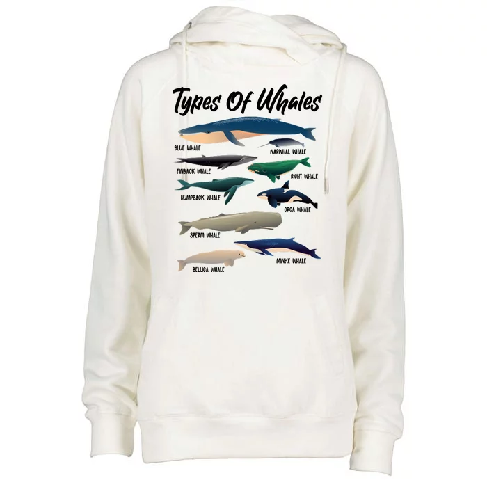 Types Of Whales Womens Funnel Neck Pullover Hood