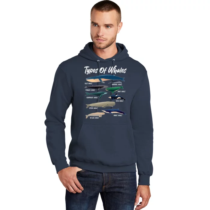 Types Of Whales Hoodie