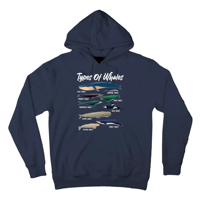 Types Of Whales Hoodie