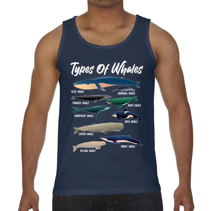 Types Of Whales Comfort Colors® Tank Top