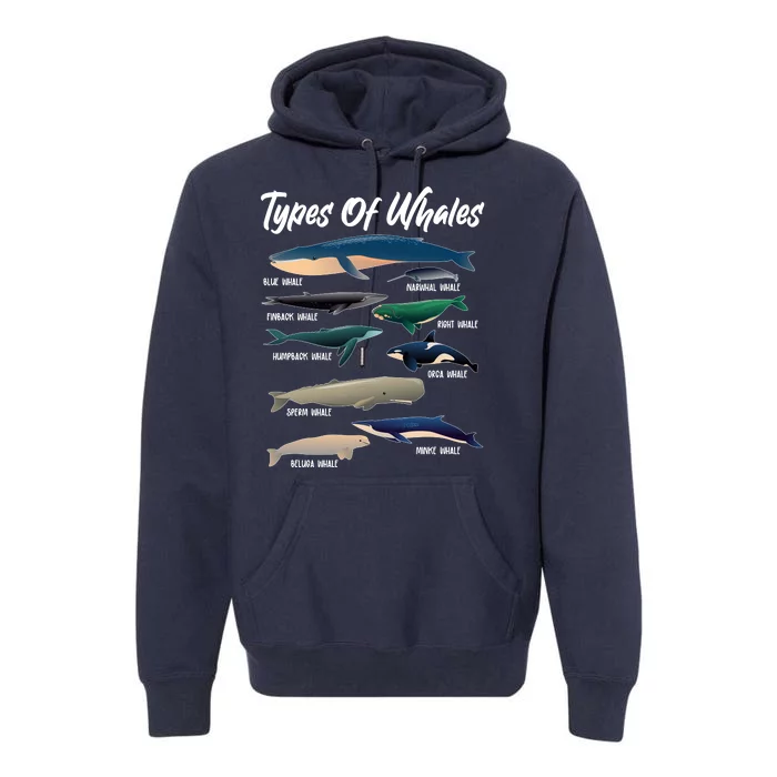 Types Of Whales Premium Hoodie