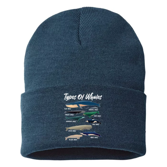 Types Of Whales Sustainable Knit Beanie