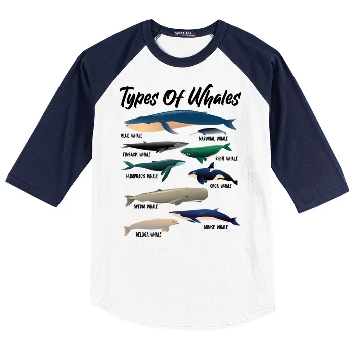 Types Of Whales Baseball Sleeve Shirt