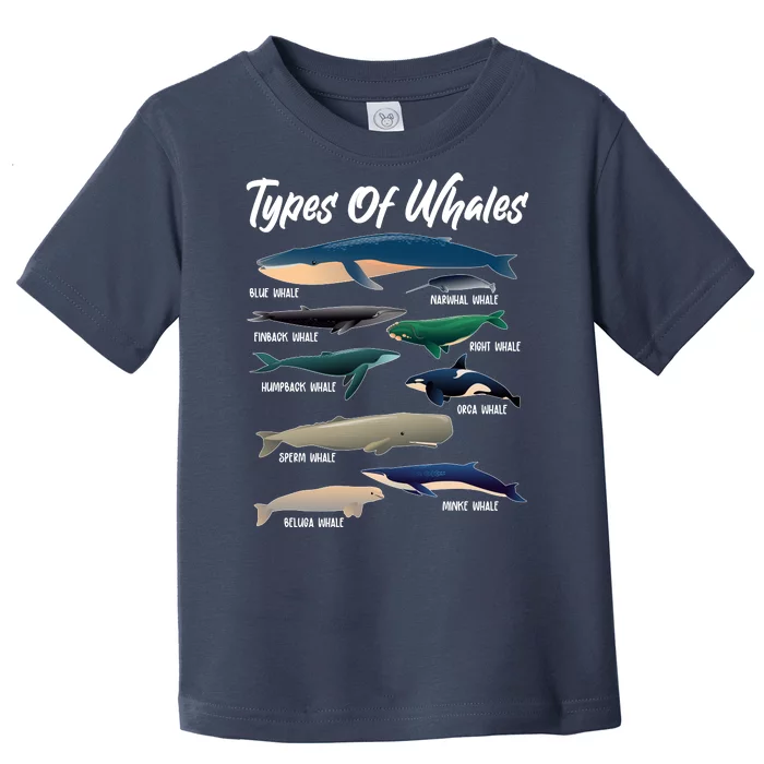 Types Of Whales Toddler T-Shirt