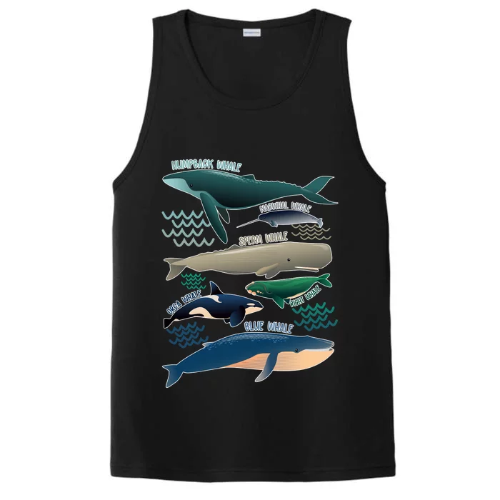 Types Of Whales Save The Whales Performance Tank