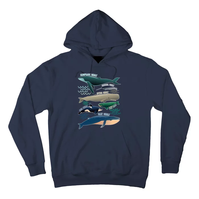 Types Of Whales Save The Whales Hoodie