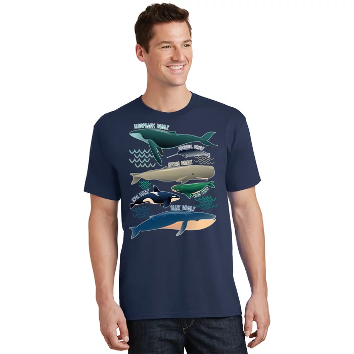 Types Of Whales Save The Whales T-Shirt