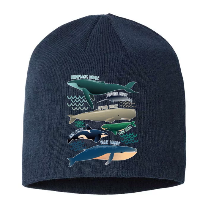 Types Of Whales Save The Whales 8 1/2in Sustainable Knit Beanie