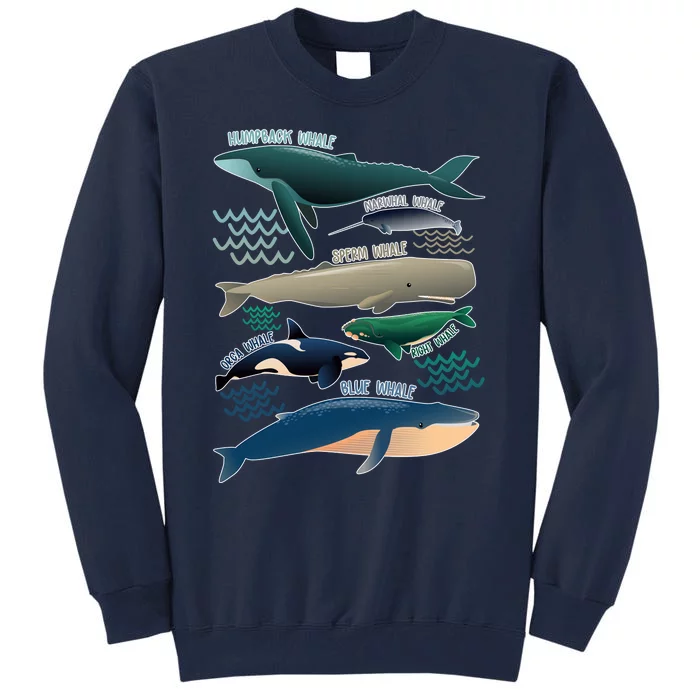 Types Of Whales Save The Whales Tall Sweatshirt