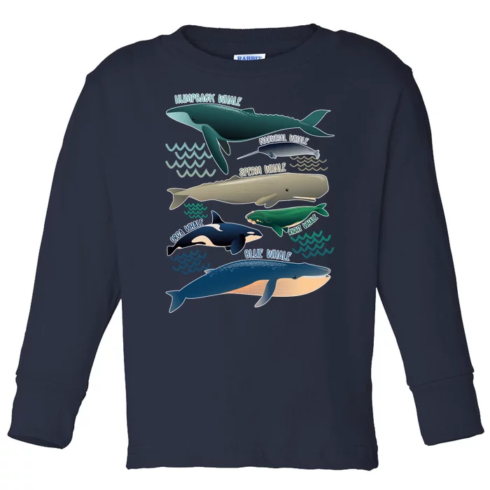 Types Of Whales Save The Whales Toddler Long Sleeve Shirt