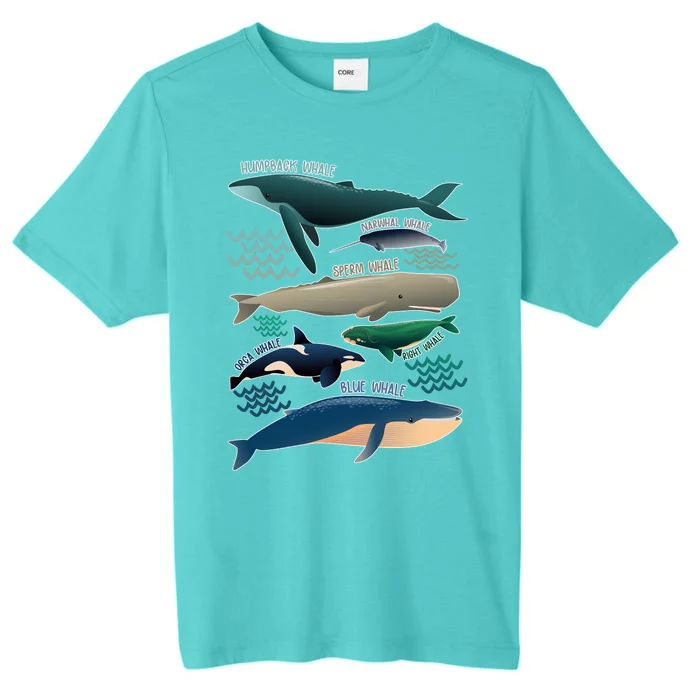 Types Of Whales Save The Whales ChromaSoft Performance T-Shirt