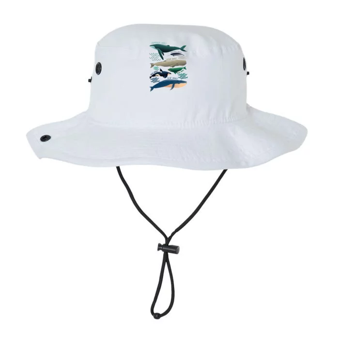 Types Of Whales Save The Whales Legacy Cool Fit Booney Bucket Hat