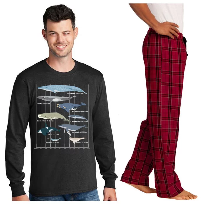 Types Of Whales Huge Whale Long Sleeve Pajama Set