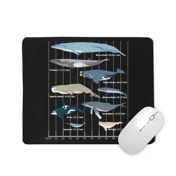 Types Of Whales Huge Whale Mousepad