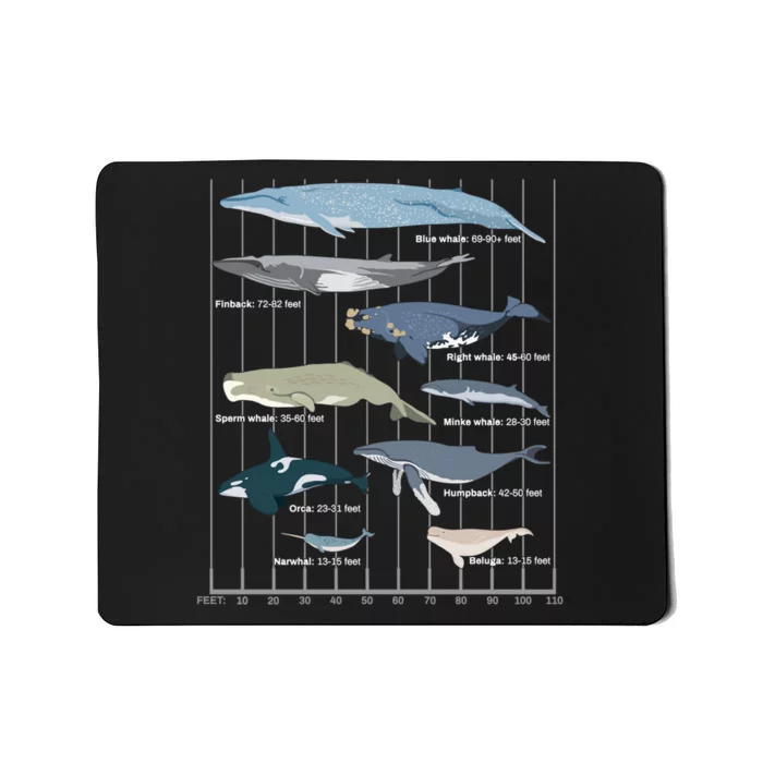 Types Of Whales Huge Whale Mousepad