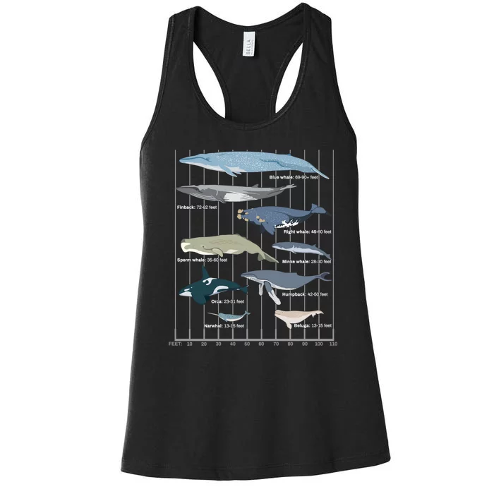 Types Of Whales Huge Whale Women's Racerback Tank