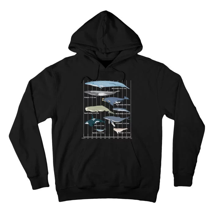 Types Of Whales Huge Whale Tall Hoodie