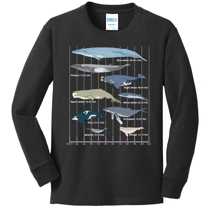 Types Of Whales Huge Whale Kids Long Sleeve Shirt