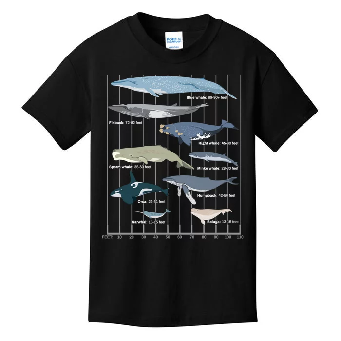 Types Of Whales Huge Whale Kids T-Shirt