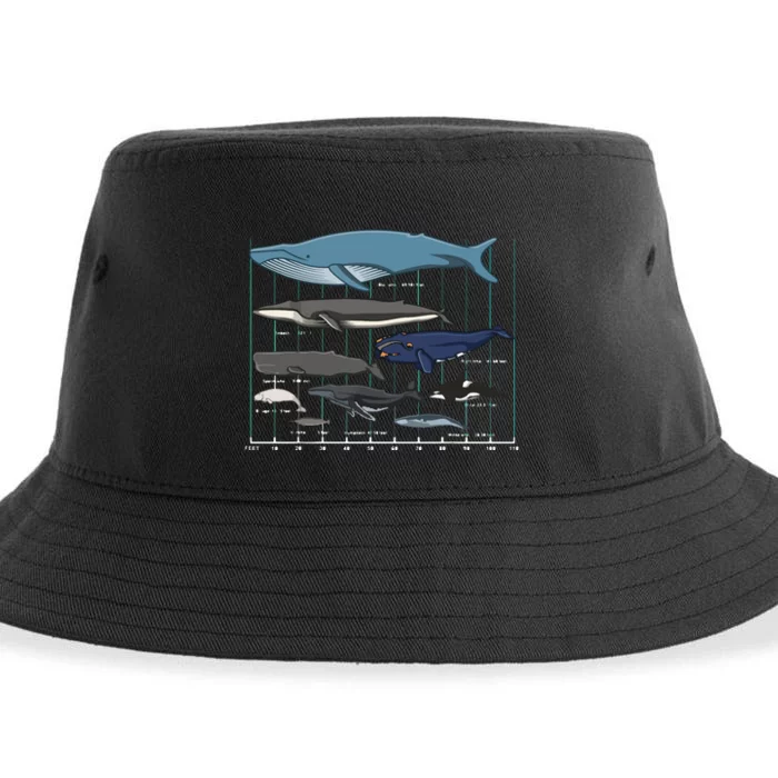 Types Of Whales Huge Whale Sustainable Bucket Hat