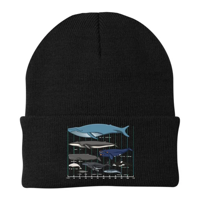 Types Of Whales Huge Whale Knit Cap Winter Beanie