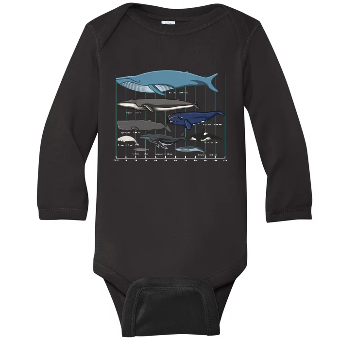 Types Of Whales Huge Whale Baby Long Sleeve Bodysuit