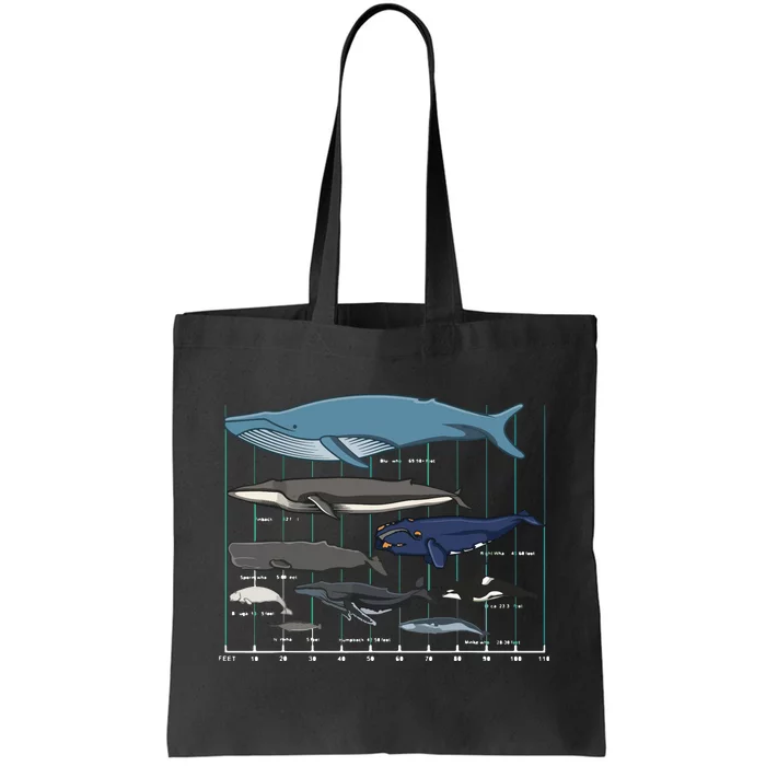 Types Of Whales Huge Whale Tote Bag