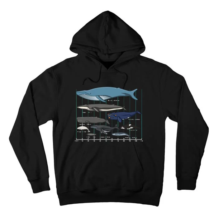 Types Of Whales Huge Whale Tall Hoodie