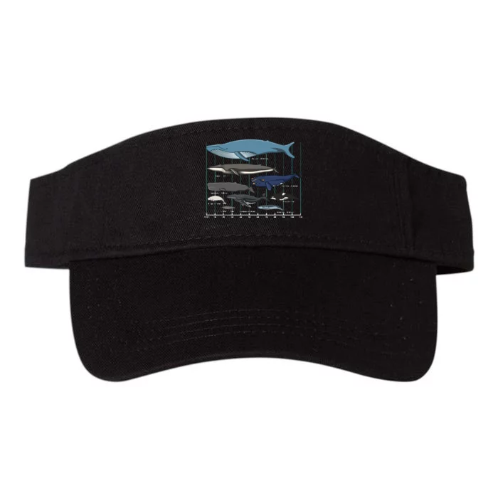 Types Of Whales Huge Whale Valucap Bio-Washed Visor