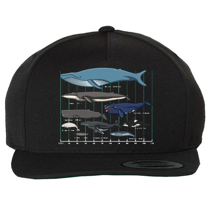 Types Of Whales Huge Whale Wool Snapback Cap