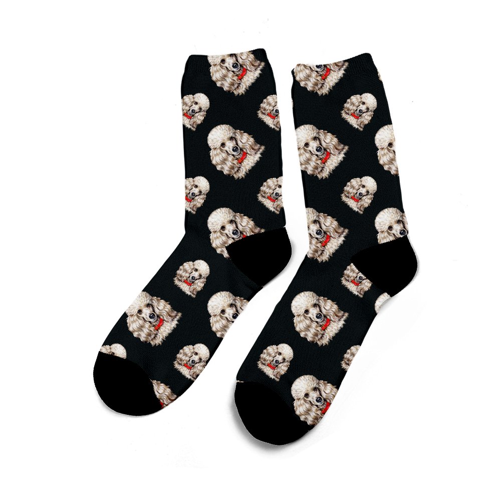 toy poodle socks