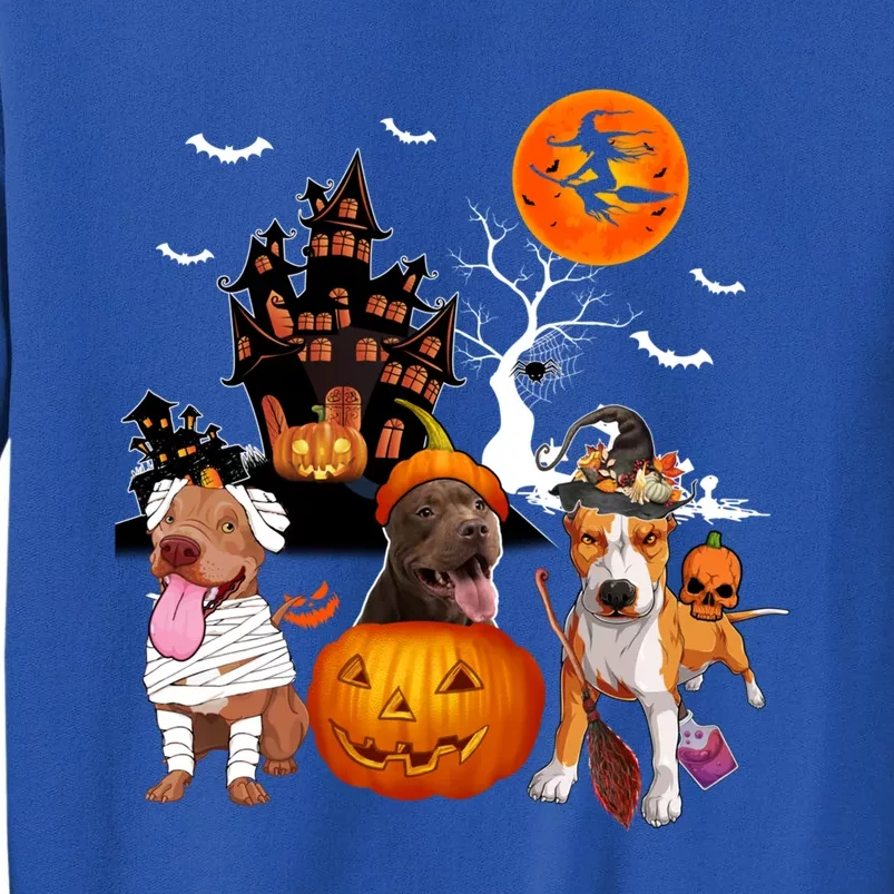 Three Pit Bulls Halloween Mummy Scary Witch With Pumpkins Cute Gift Sweatshirt