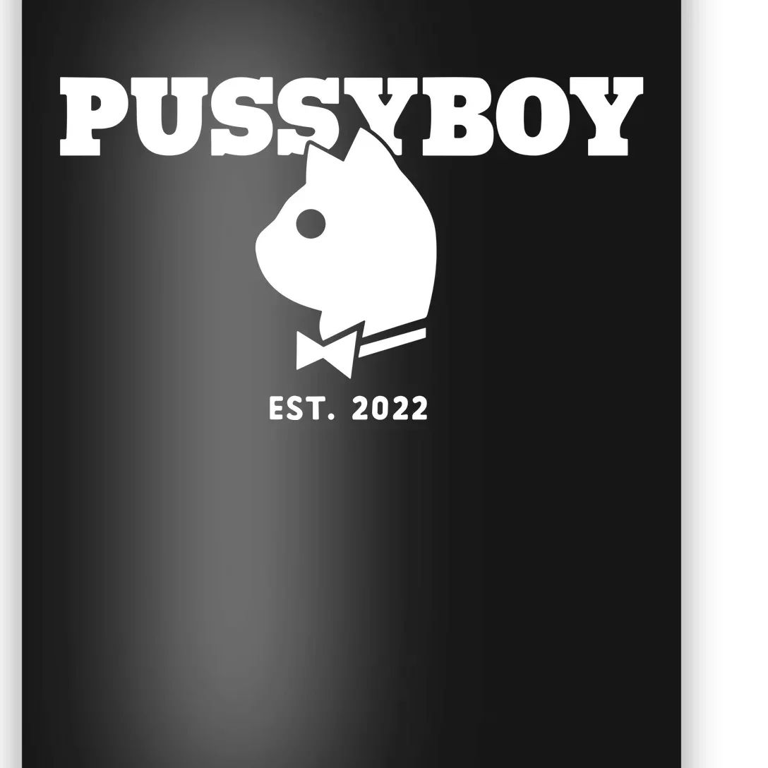 Tboy Pussyboy Cat Est 2024 Poster